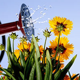 watering_garden_image
